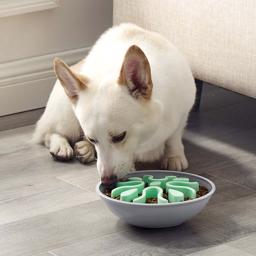 Outward Hound Fun Feeder Wobble Slo Bowl i Mint
